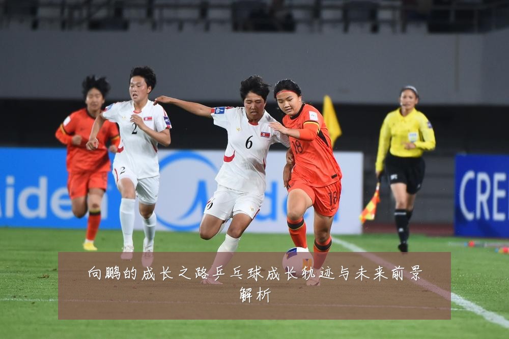 向鹏的成长之路乒乓球成长轨迹与未来前景解析