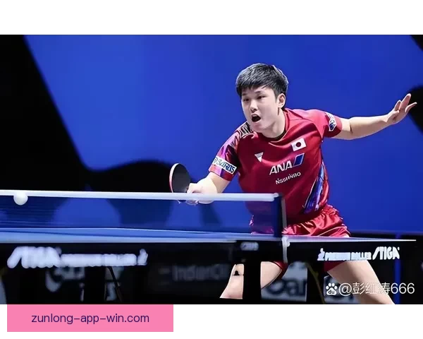 张本智和遭重创日本球迷质疑抗压日乒王牌改以松岛为核心