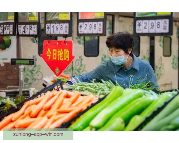 2026世界杯参赛国家全解析与夺冠热门趋势预测